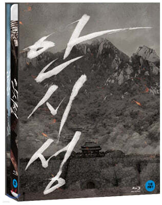 안시성 (2Disc) : 블루레이