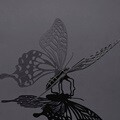 [Kiplex] 3D 종이 아트 조립모델 키트 : 나비