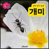 생각콩콩 자연동화 : 개미