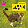 생각콩콩 자연동화 : 고양이