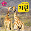 생각콩콩 자연동화 : 기린