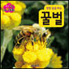 생각콩콩 자연동화 : 꿀벌