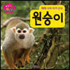 생각콩콩 자연동화 : 원숭이