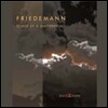 Friedmann - Echoes Of A Shattered Sky