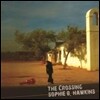 Sophie B. Hawkins - The Crossing
