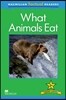 Macmillan Factual Readers Level 2+: What Animals Eat