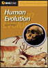 Human Evolution
