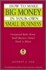 How to Make Big Money in Your Own Small Business