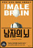남자의 뇌