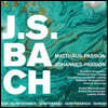 Rudolf Mauersberger 바흐: 마태수난곡, 요한수난곡 (Bach: St Matthew Passion & St John Passion)