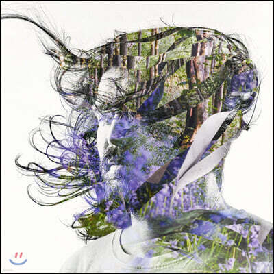 Bibio (비비오) - Ribbons [2LP]