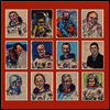 Darren Hayman - 12 Astronauts (LP)