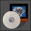 Fink - Bloom Innocent (MP3 Download)(White LP)
