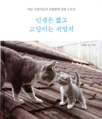 인생은 짧고 고양이는 귀엽지