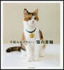 手編みのかわいい猫の首輪