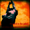 Acid Mothers Temple & The Melting Paraiso U.F.O. - Minstrel In The Galaxy (Ltd. Ed)(Yellow Vinyl)(LP)