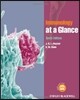 Immunology at a Glance. J.H.L. Playfair, B.M. Chain