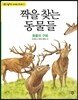 짝을 찾는 동물들