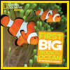 National Geographic Little Kids First Big Book of the Ocean