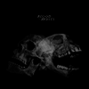 Sect - Blood Of The Beasts (LP)