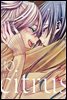 citrus 시트러스 10권 (완결)