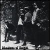 Shadows Of Knight - Raw 'N Alive at the Cellar, Chicago 1966! (LP)