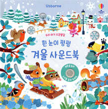 우리 아기 오감발달 흰 눈이 펑펑 겨울 사운드북