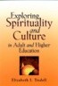 Exploring Spirituality and Culture in Adult and Higher Education