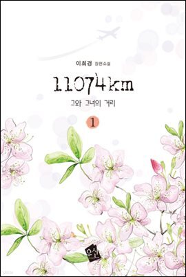 11074km 1
