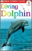 Diving Dolphin