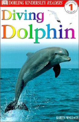 Diving Dolphin