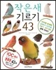 작은새 기르기 43