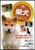 柴犬と暮らす