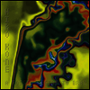 Hiro Kone - A Fossil Begins To Bray (LP)