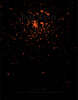 Dark Matter