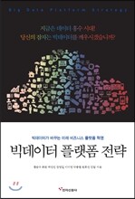 빅데이터 플랫폼 전략