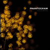 Phantogram - Eyelid Movies (LP)