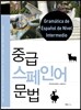 중급 스페인어 문법
