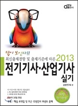 2013 답이보인다 전기기사 산업기사 실기