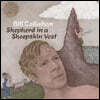 Bill Callahan (빌 캘러한) - Shepherd In A Sheepskin Vest