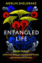 A Entangled Life