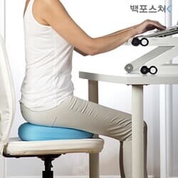 백포스쳐 밸런스쿠션 바른자세방석 코어운동 허리건강