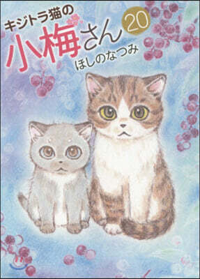 キジトラ猫の小梅さん 20