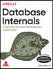 Database Internals
