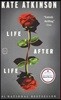 Life After Life