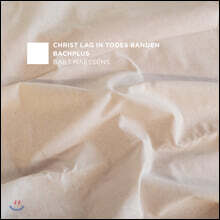 Bart Naessens 바흐: 그리스도는 죽음의 굴레를 쓰셨네 외 (Bach: Christ Lag In Todesbanden)