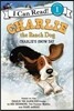Charlie the Ranch Dog: Charlie's Snow Day: A Winter and Holiday Book for Kids