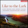 Swedish Chamber Choir 스웨덴 실내 합창단 연주집 (Like to the Lark)