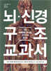 뇌·신경 구조 교과서