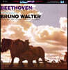 Bruno Walter 베토벤: 교향곡 6번 '전원' - 브루노 발터 (Beethoven: Symphony No.6 Op.68 Pastoral)